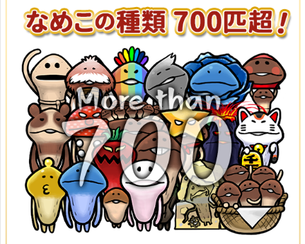 なめこの種類700匹超え